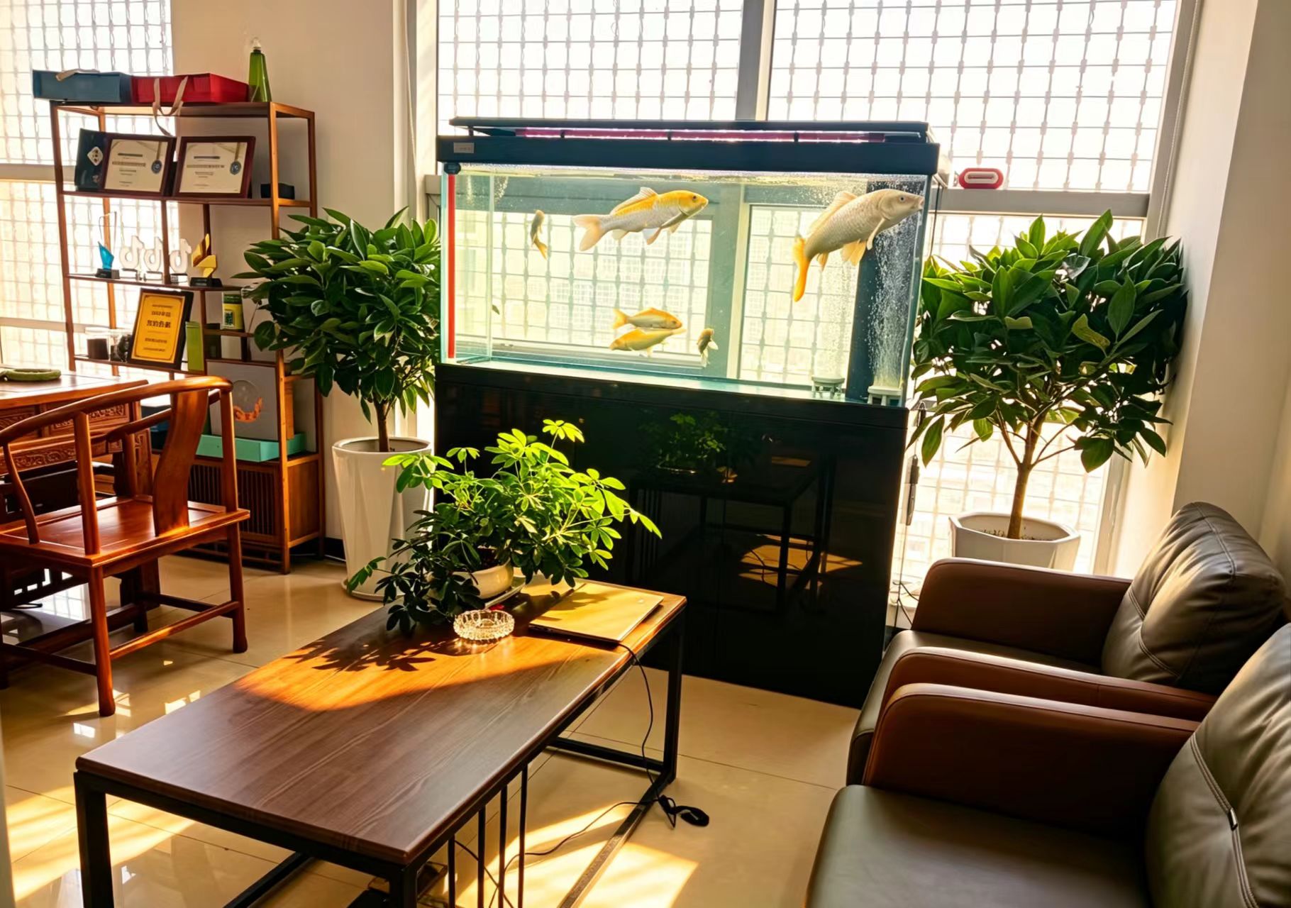 办公室接待休闲区